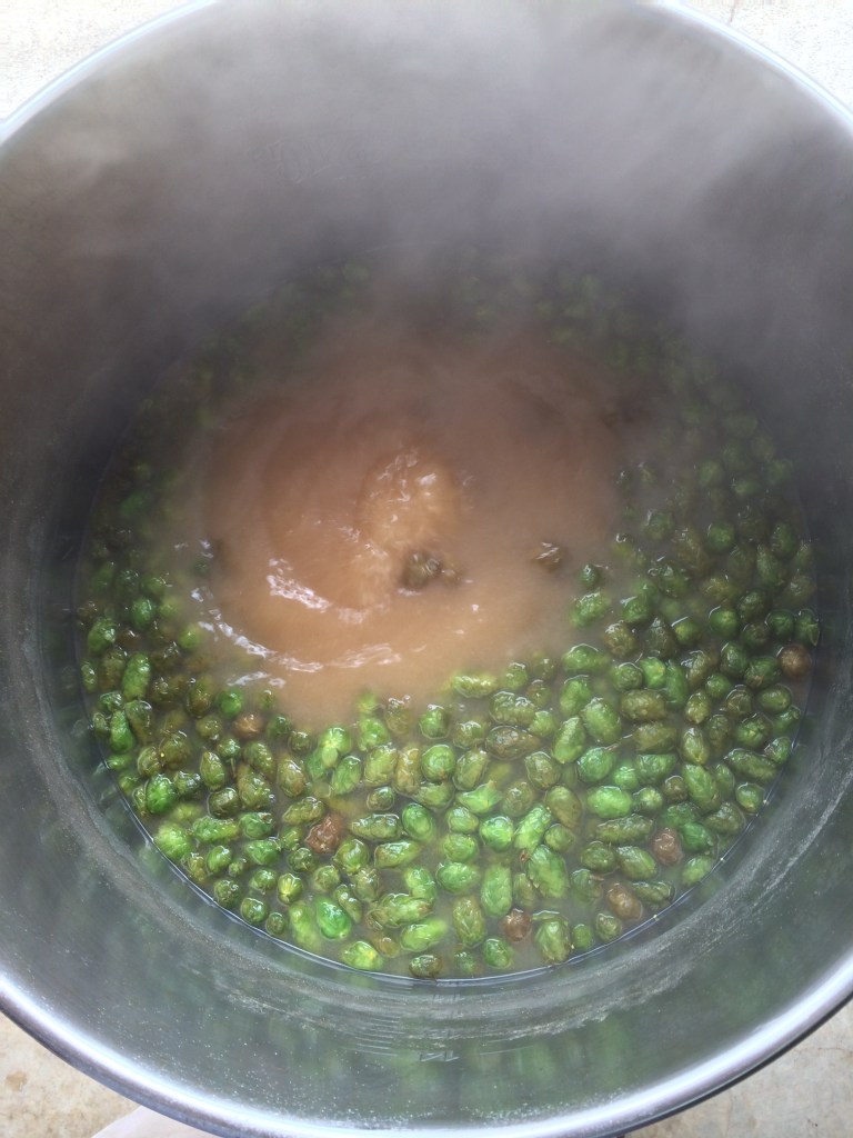 Fresh Hop Cascade IPA Boil