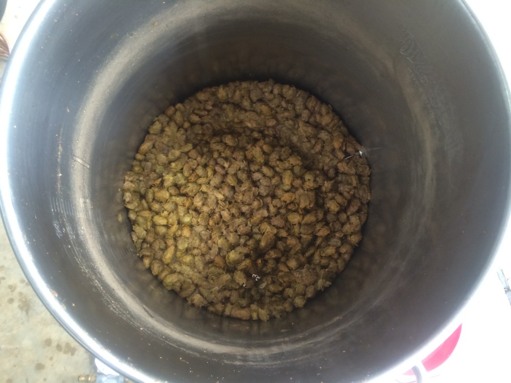 Thank You for Your Contribution