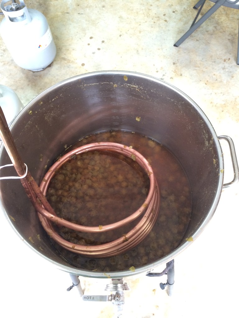 Double S Hoptoberfest Cool Down and Transfer