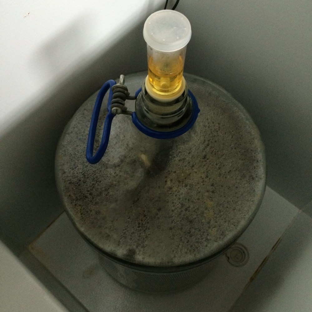 Imperial Irish Ale Ready for Fermentation