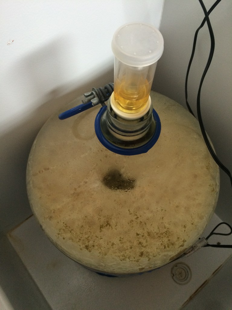 El Dorado Dry Hop Complete